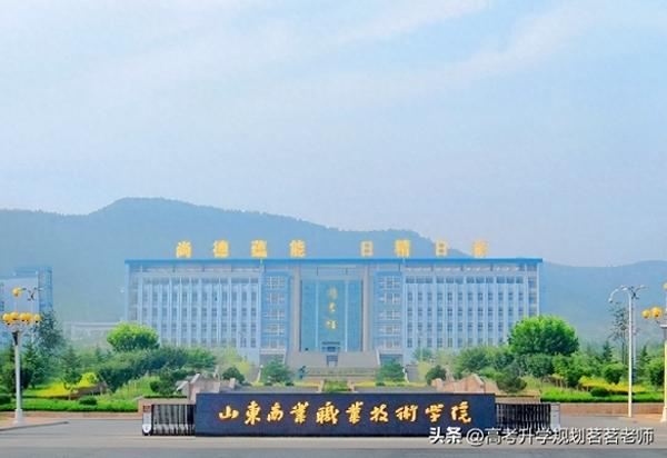 山东专升本的学校排名(山东2021专科升本科的学校)插图2