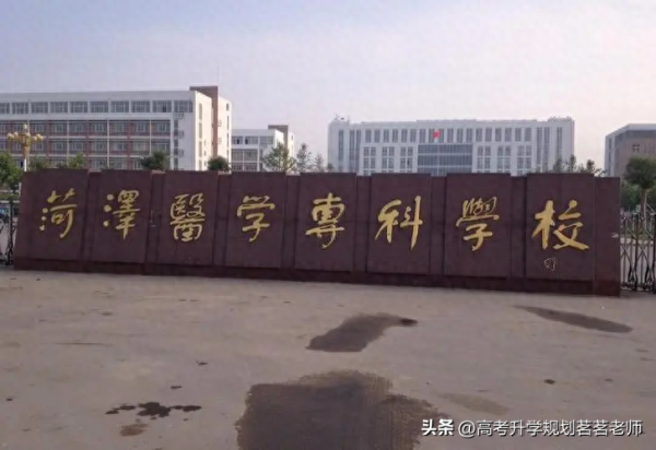 山东专升本的学校排名(山东2021专科升本科的学校)插图4