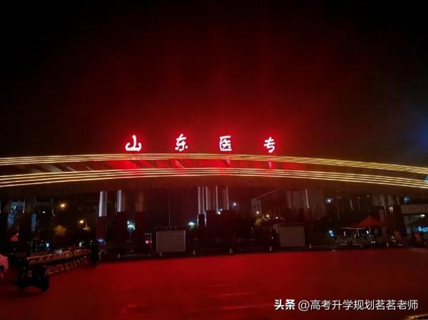 山东专升本的学校排名(山东2021专科升本科的学校)插图6