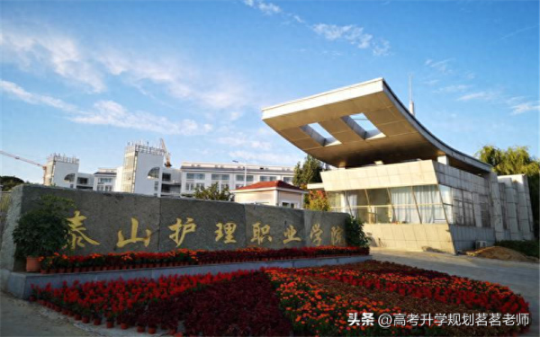 山东专升本的学校排名(山东2021专科升本科的学校)插图8