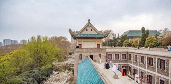 双一流大学排名一览表(双一流高校排名)插图4