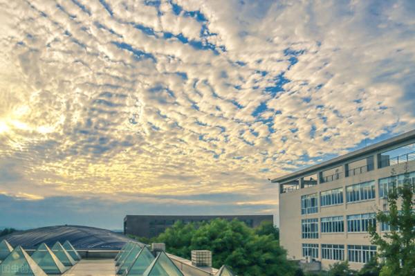 全国三本大学排名和录取分(独立学院是本科院校吗)插图