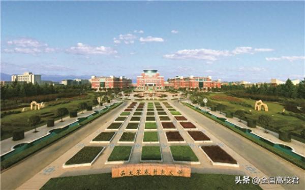 陕西大学排名一览表(陕西省大学最新排名)插图3