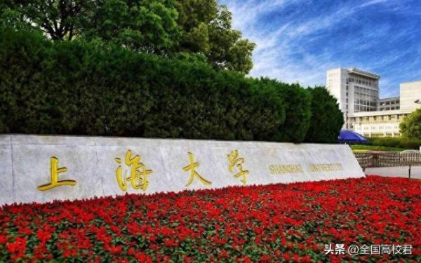 上海全部大学排名(上海大学排行榜2023)插图8