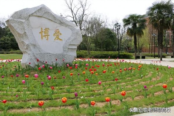 南京最好的大专排名(南京较好的二本院校)插图10