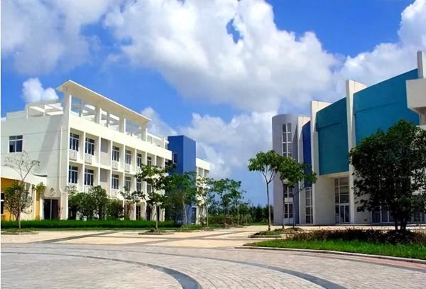 上海的大学排名一览表(上海高校名单排名)插图22