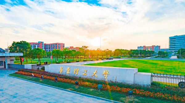 上海的大学排行榜(东华大学上海市排名)插图2