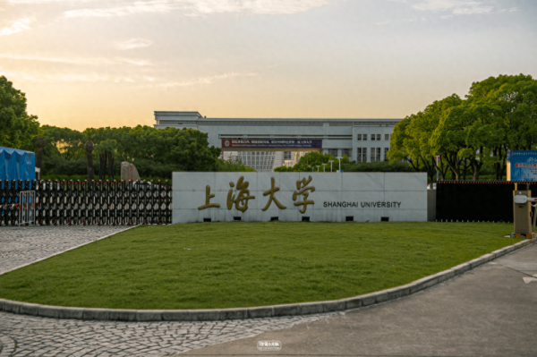上海的大学排行榜(东华大学上海市排名)插图3