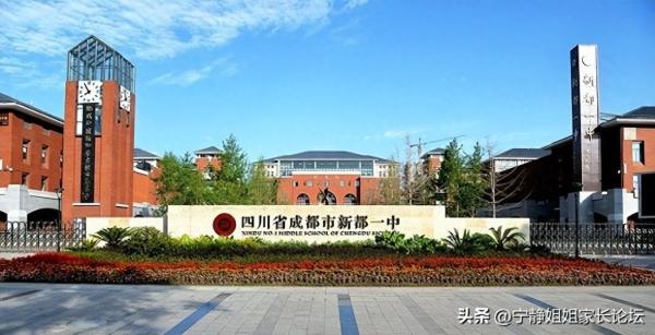 中国十大顶尖高中(清一色的牌是怎么样的)插图2