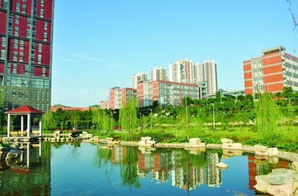 重庆十大名牌大学(重庆市的高校排名)插图5