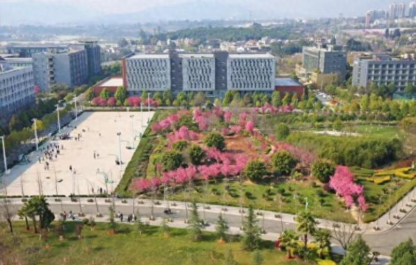 云南专科学校排名(云南专科学校排行榜2023年)插图2