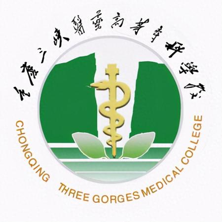 重庆专科学校排名前十(重庆电子工程职业技术学校王牌专业)插图4