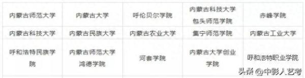 中国十大艺术院校(开设艺术专科的本科大学有哪些)插图26