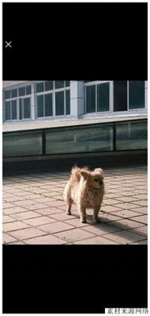 重庆对外经贸学院(重庆对外经贸学院原名是什么)插图1