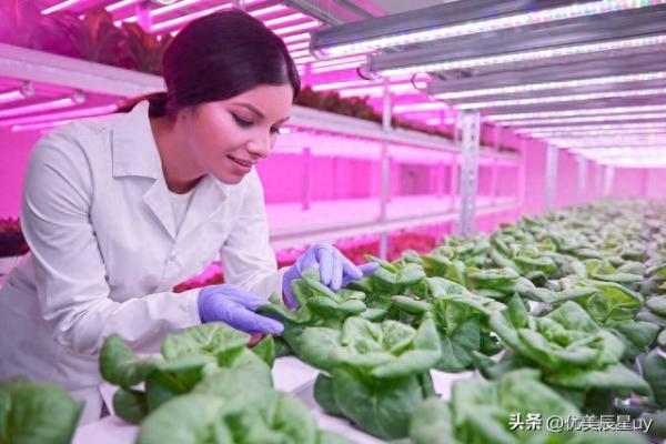 农学类前景最好的十大专业(农学考研可以考哪些专业)插图4