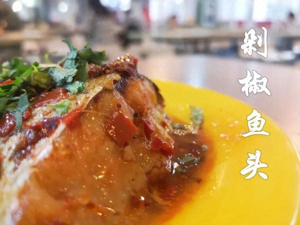 西安建筑科技大学(西安不好的大学)插图16