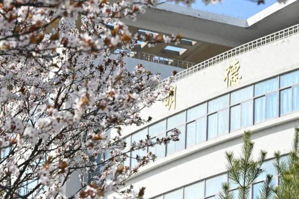 青岛科技大学(青岛科技大学2024招生章程公布)插图3
