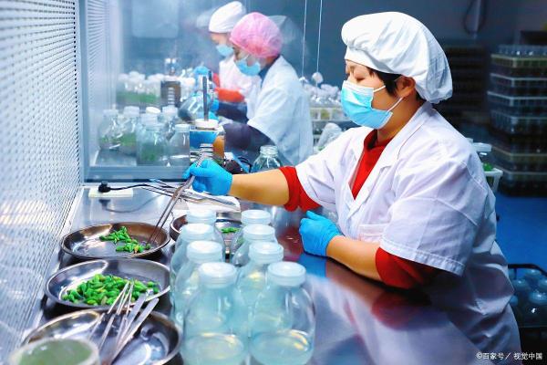 食品科学与工程就业前景(食品科学与工程就业前景如何知乎)插图2