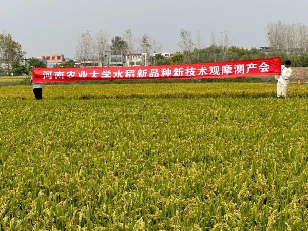 河南农业大学(9000年后碳14是原来的)插图3