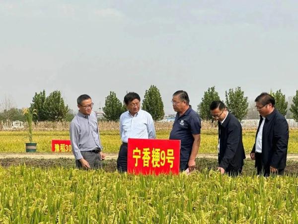 河南农业大学(9000年后碳14是原来的)插图6