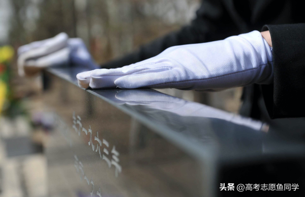 专科学什么专业好就业前景好(2023年专科就业率最高的专业)插图