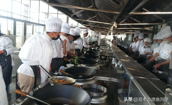 专科学什么专业好就业前景好(2023年专科就业率最高的专业)插图3