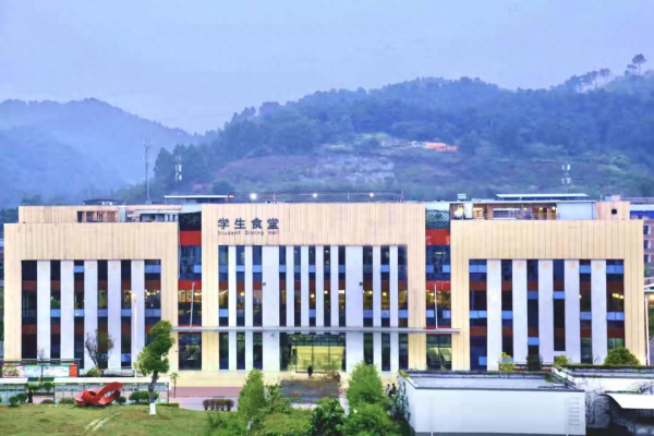 广西艺术学院(广西艺术学院有多好就业)插图4