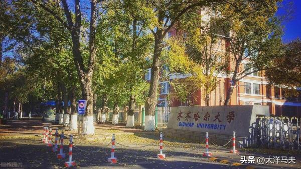齐齐哈尔大学(张雪峰怼齐齐哈尔女生)插图1