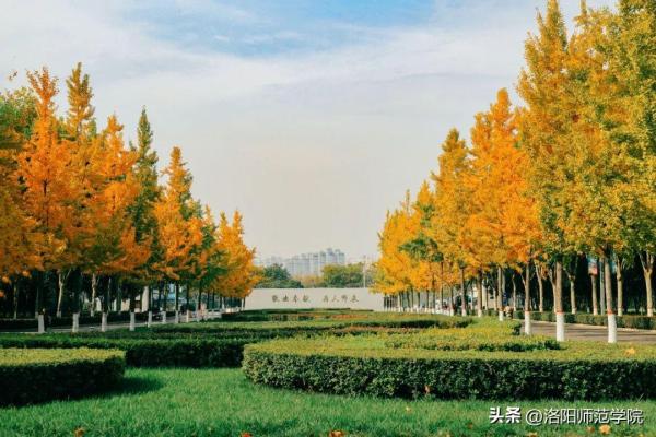 洛阳师范学院(洛阳师范学院文化底蕴)插图8