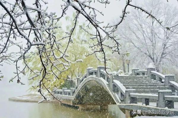 洛阳师范学院(洛阳师范学院文化底蕴)插图29