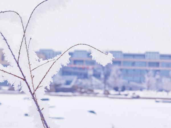 内蒙古财经大学(内蒙古财经大学是211嘛)插图8