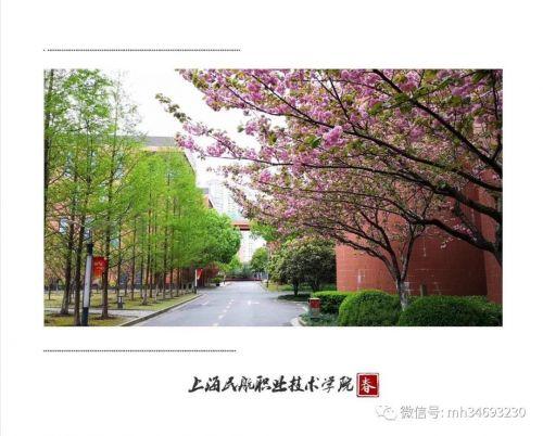 上海民航职业技术学院(上海民航职业技术学校贴吧)插图22