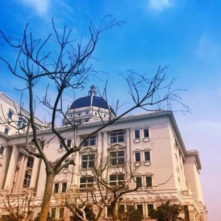 上海外国语大学(上海外国语大学分数线)插图2