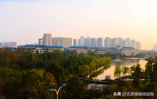 重庆大学是985还是211(西南地区最好的211大学)插图