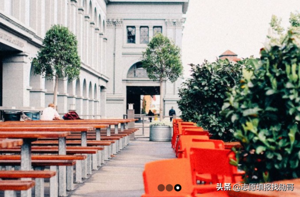 重庆大学是985还是211(西南地区最好的211大学)插图2