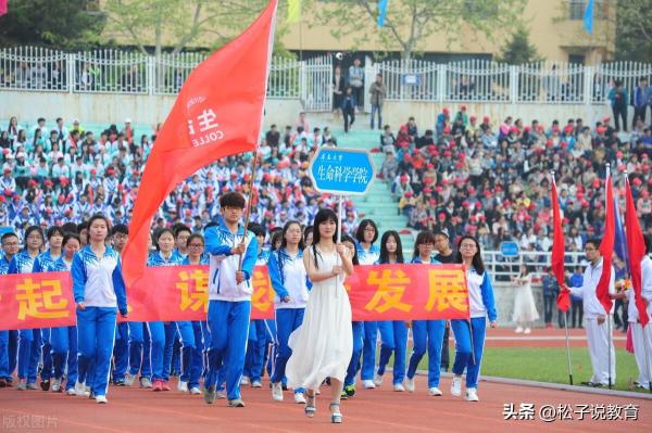 青岛大学是211还是985(青岛大学2023年各专业录取分数线是多少)插图1