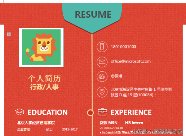 个人求职简历模板(有免费的简历模板)插图1