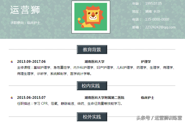 个人求职简历模板(有免费的简历模板)插图5