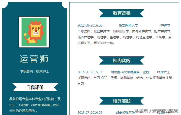 个人求职简历模板(有免费的简历模板)插图9
