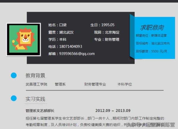 个人求职简历模板(有免费的简历模板)插图15