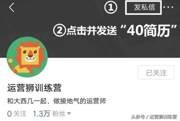 个人求职简历模板(有免费的简历模板)插图18