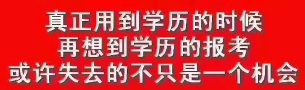 女生学什么专业挣钱多又轻松(女生学什么专业最有前途)插图