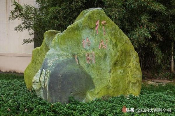 成都电子科技大学(电子科技大学成都学院张艳玲教授)插图1