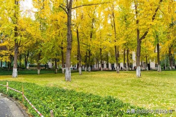 成都电子科技大学(电子科技大学成都学院张艳玲教授)插图2