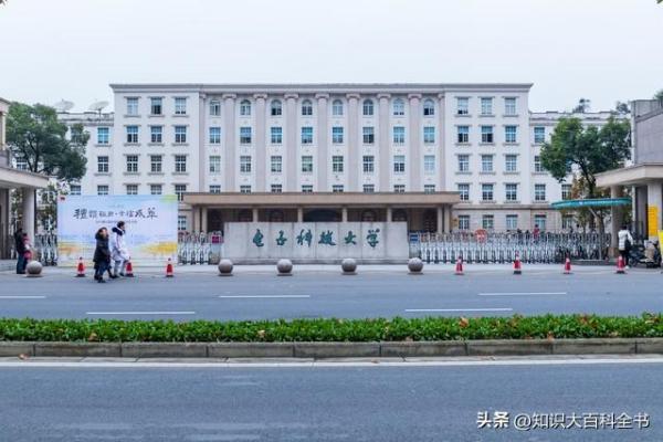 成都电子科技大学(电子科技大学成都学院张艳玲教授)插图3