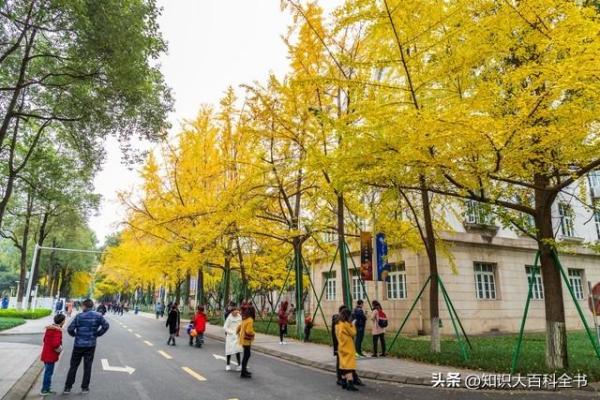 成都电子科技大学(电子科技大学成都学院张艳玲教授)插图4