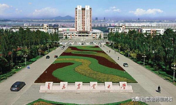 青岛理工大学是一本还是二本(青岛理工与青岛农业大学哪个更好)插图