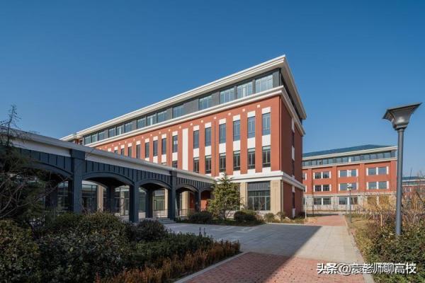 青岛理工大学是一本还是二本(青岛理工与青岛农业大学哪个更好)插图3