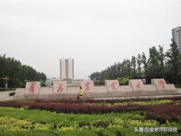 青岛理工大学是一本还是二本(青岛理工与青岛农业大学哪个更好)插图6