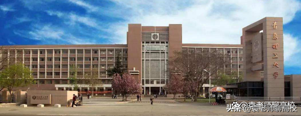 青岛理工大学是一本还是二本(青岛理工与青岛农业大学哪个更好)插图10